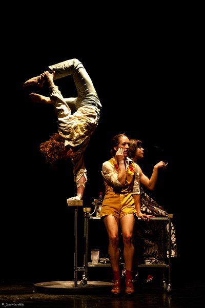 Photo 3 de Cirque Le Roux La nuit du Cerf