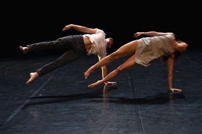 Photo 3 de Amor - Compagnie Grenade, Josette Baïz