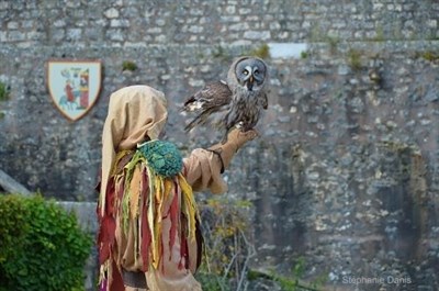 Les Aigles des Remparts