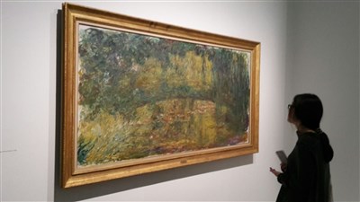Photo 2 de Visite guidée d'exposition: Nymphéas, L'abstraction américaine et le dernier Monet | - par Caroline Bujeau