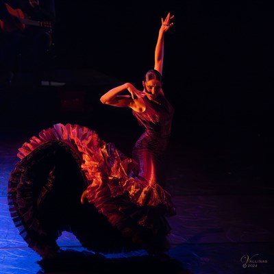 Photo 5 de Rose d'Espagne