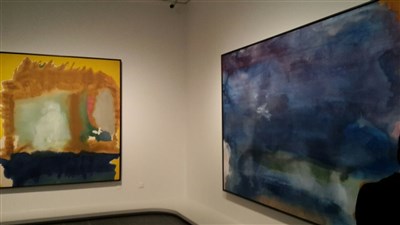 Photo 1 de Visite guidée d'exposition: Nymphéas, L'abstraction américaine et le dernier Monet | - par Caroline Bujeau