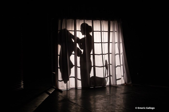 Photo de La trajectoire des gamètes