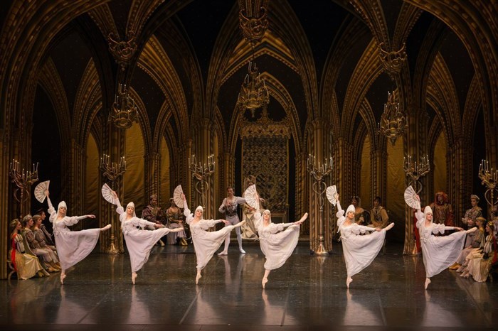 Photo de Le lac des cygnes