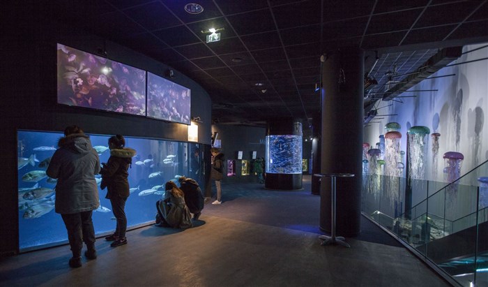 Photo de Aquarium de Paris | Billet d'entrée