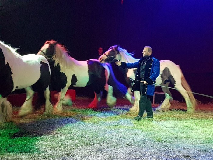 Photo de Le Cirque La Piste d'Or dans Happy Birthday | - Jarnac