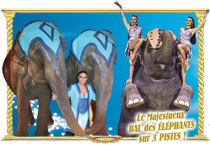 Photo de Le grand cirque de Noël Américain sur 3 Pistes