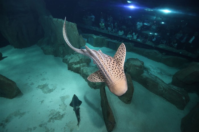 Photo de Aquarium de Paris | Billet d'entrée