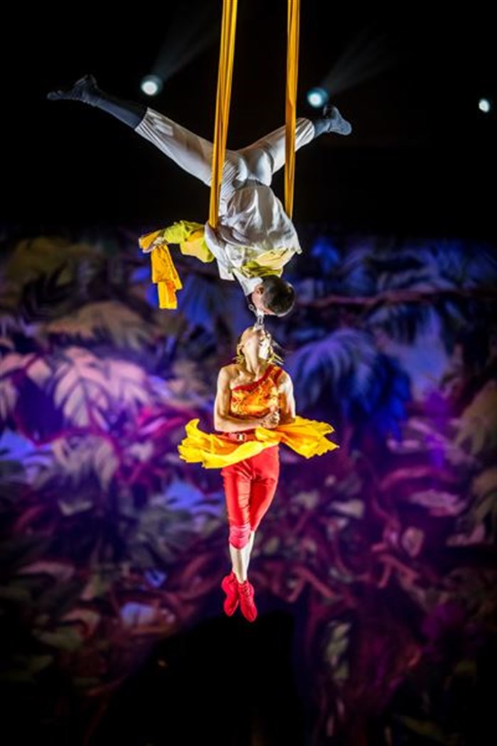 Photo de Cirque Phenix : Le Roi des Singes