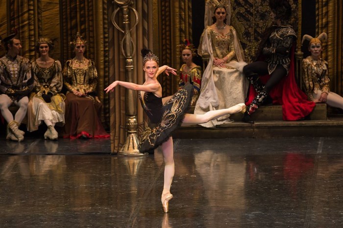 Photo de Le lac des cygnes