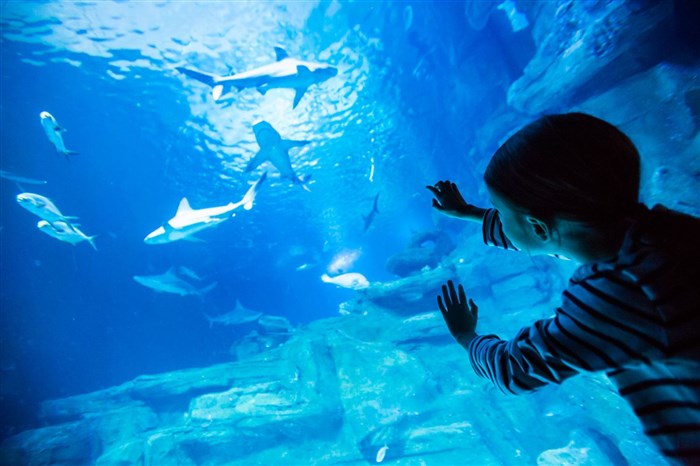 Photo de Aquarium de Paris | Billet d'entrée