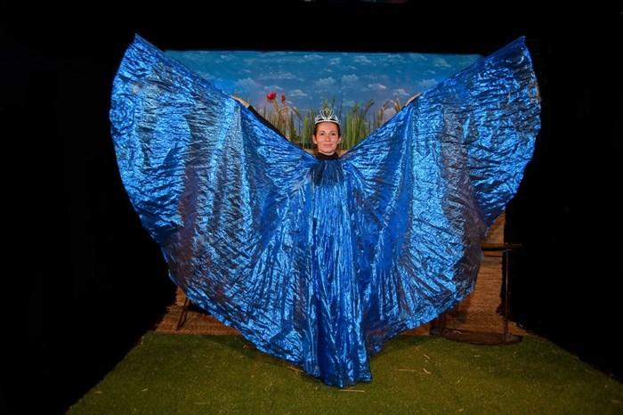 Photo de Fourmi de pain