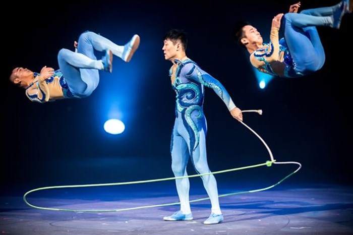 Photo de Cirque Phenix : Le Roi des Singes