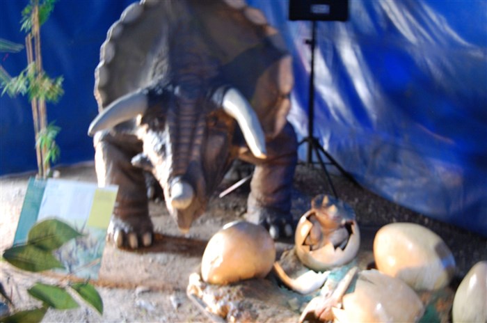 Photo de L'univers des dinosaures | - Valence