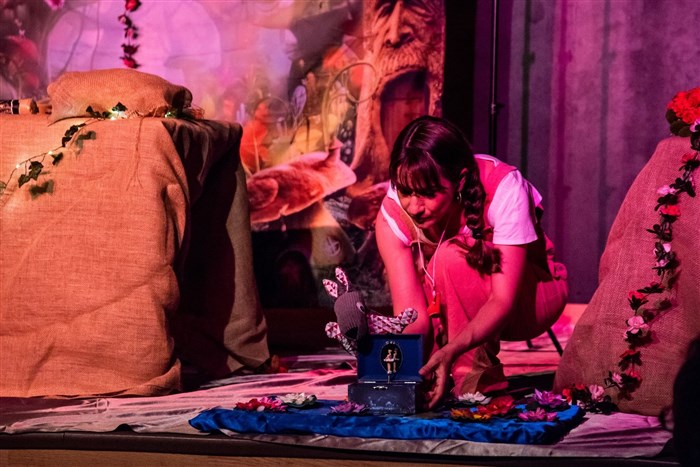 Photo de Dans la forêt des émotions