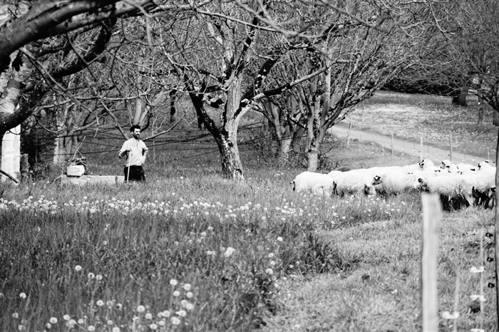 Photo de Clément Bouscarel : Contes et légendes paysans