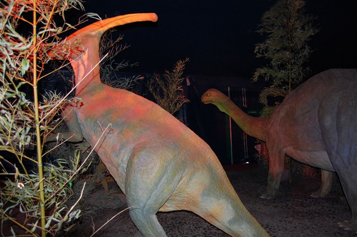 Photo de L'univers des dinosaures | - Valence