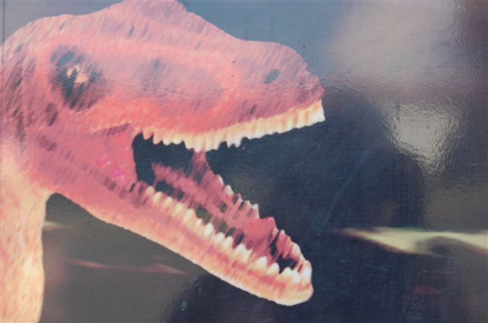 Photo de L'univers des dinosaures | - Valence