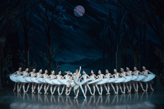 Photo de Le lac des cygnes