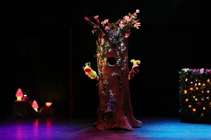 Photo de Ninon au royaume du Non