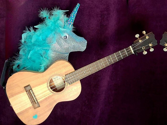 Photo de Lalie la licorne et les drôles de maisons