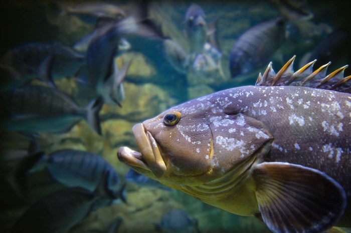 Photo de Aquarium de Paris | Billet d'entrée
