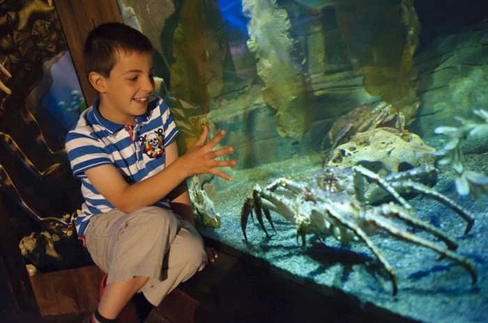 Photo de Aquarium Sealife Paris Val d'Europe