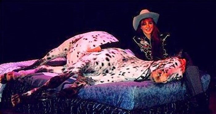 Photo de Le Cirque Bouglione de Noël