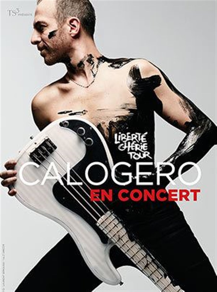 Photo de Calogero - Festival Foire en Scène