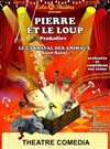 Pierre et le loup et Le Carnaval des Animaux - Le Théâtre Libre