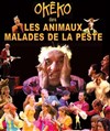 Les animaux malades de la peste - revisité ! par OKEKO - Théâtre de Ménilmontant - Salle Guy Rétoré