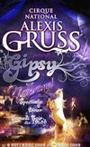 Gipsy - spectacle-dîner - Chapiteau Alexis Gruss