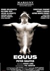 Equus - Théâtre Marigny - Salle Marigny