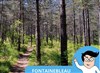 Jeu de piste en forêt de Fontainebleau - Fontainebleau