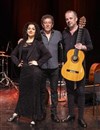 Flamenco Vivo... 3 Generaciones ! - Théâtre Le Petit Louvre - Chapelle des Templiers