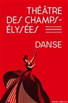 Le Lac des Cygnes - Théâtre des Champs Elysées