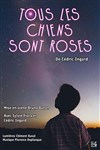 Tous les chiens sont roses - Théâtre Essaion