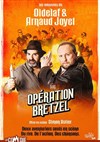 Les aventures d'Oldelaf et Arnaud Joyet : Opération Bretzel - La Comédie des Alpes