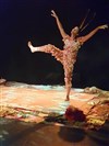 Pirouette, la danse des quatre saisons - Cinéma André Malraux