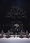 Lully : Atys - Opéra Royal - Château de Versailles