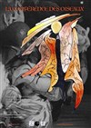 La Conférence des oiseaux d'après le conte d'Attar adapté et interprété par Armelle Chitrit - Théâtre du Nord-Ouest