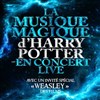The magical music of Harry Potter live in concert | Rodez - Amphithéâtre de Rodez