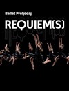 Requiem(s) - Ballet Preljocaj - La Seine Musicale - Grande Seine