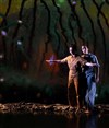 Le chemin du Wombat au nez poilu - Théâtre La Piscine