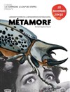 Métamorf - Théâtre El Duende