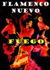 Flamenco Fiesta - Salle Roger Planchon