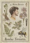 Rémi Boyes dans Bombus Terrestris V2 - La Comédie d'Aix