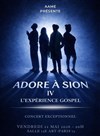 Adore à Sion 4 - Théâtre Le 13ème Art - Grande salle