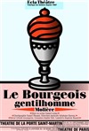 Le Bourgeois Gentilhomme - Théâtre de la Porte Saint Martin