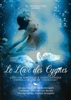 Affiche de Le Lac des Cygnes